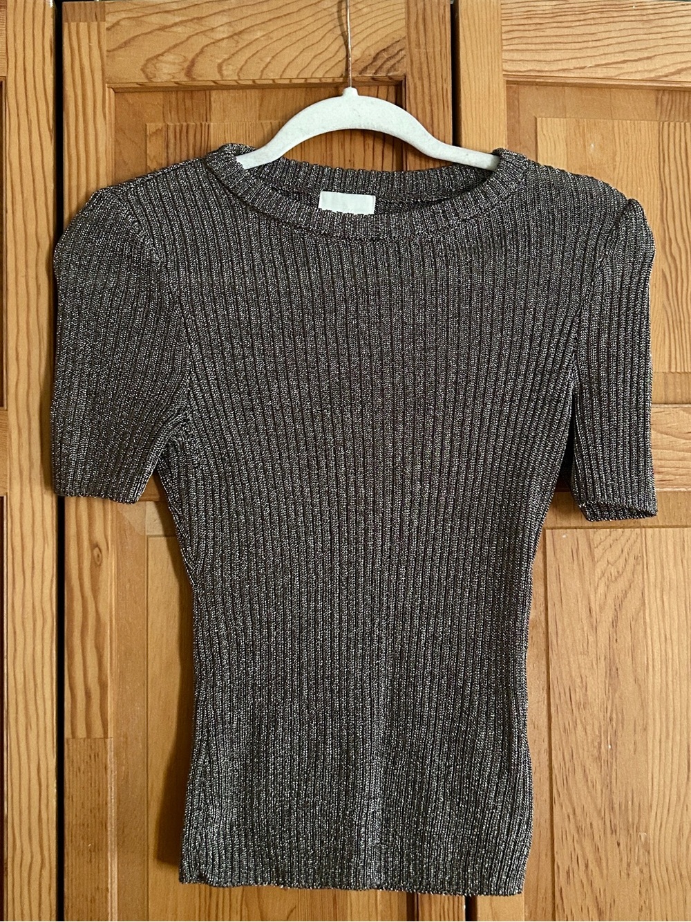 H&M Short-Sleeve Metallic Top